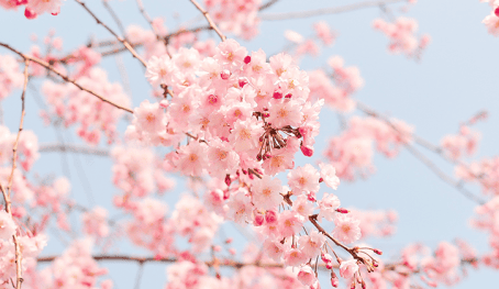 View April Newsletter 2019 April newsletter 2019